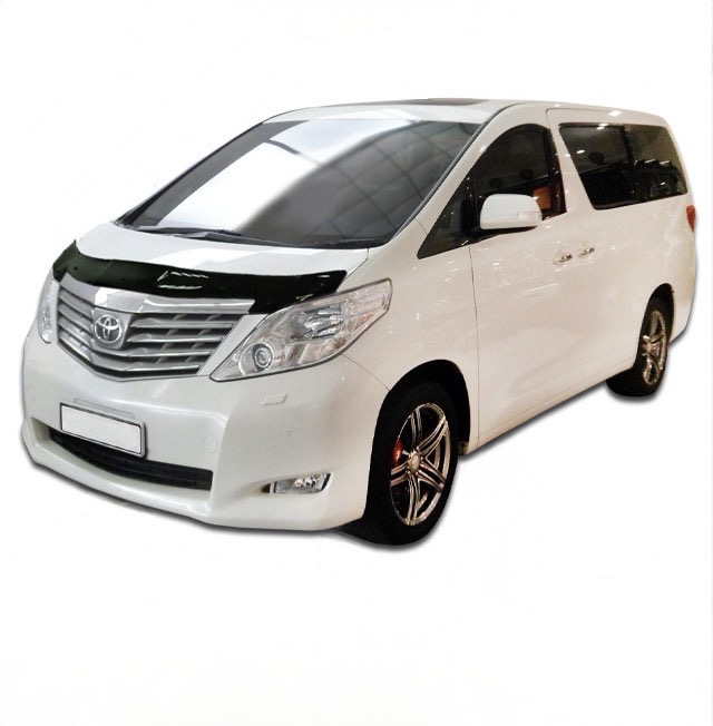 Toyota Alphard ANH20W (2008–2011)