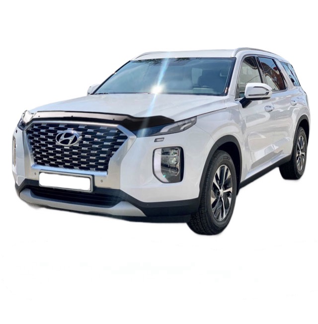 Hyundai Palisade LX2 (2018-н.в.)